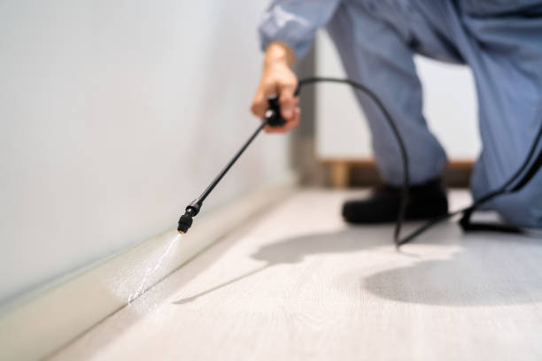 Bed Bug Pre-Treatment Preparation Assessment in Willis