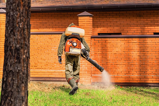 Bed Bug Clearance Verification and Documentation in Willis